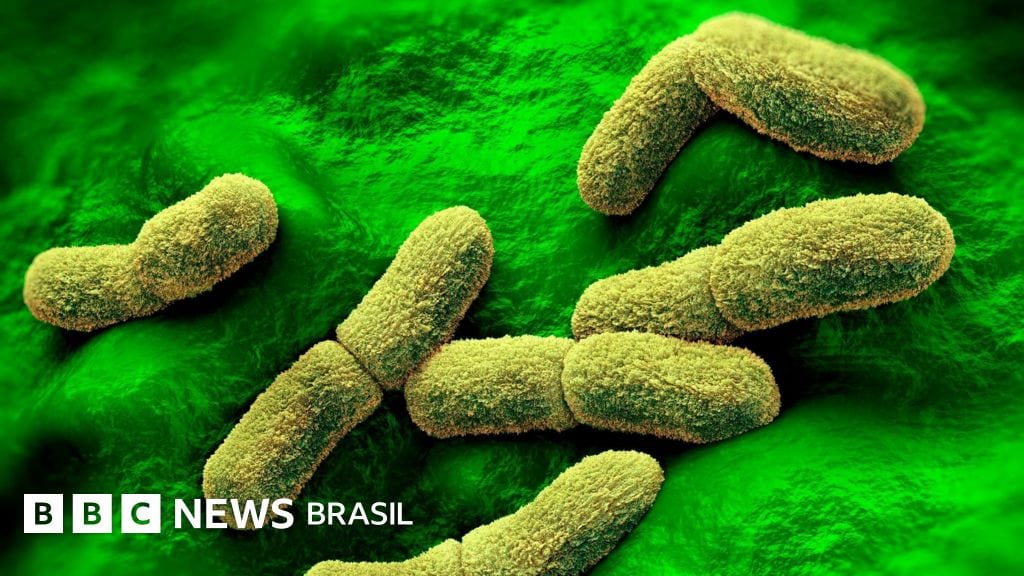 Peste pneumônica: o que se sabe sobre a morte de pesquisadora russa