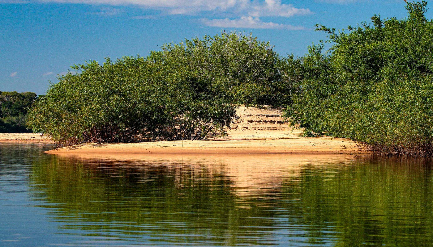 Tocantins anuncia R$ 88 milhões para ações ambientais, combate a incêndios e fortalecimento da reciclagem