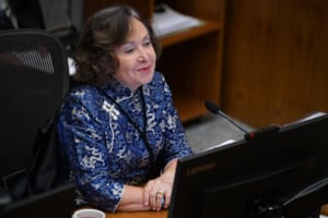 ‘Com excesso de casos na pauta virtual, muita coisa passa’, diz ministra do STJ