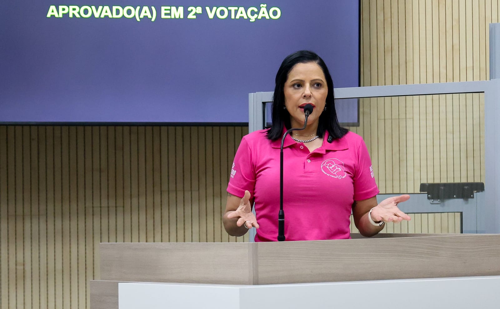 Novo Hamburgo cria Dia Municipal do Motoboy em 27 de julho