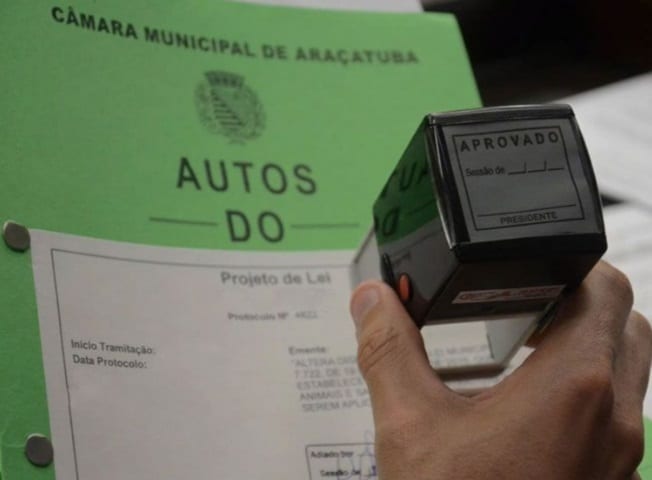 Câmara de Araçatuba vota inclusão de professores de educação infantil no magistério