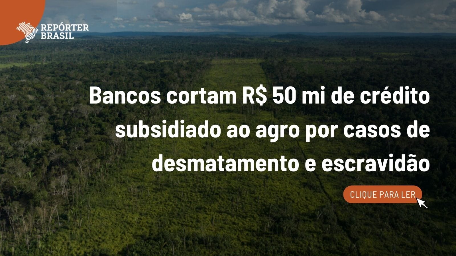 Bancos cortam subsídios ao agro por casos de desmatamento e escravidão