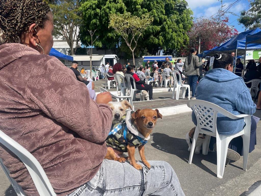 Programa Saúde Animal atende gratuitamente 250 cães e gatos no Jardim Belval, em Barueri