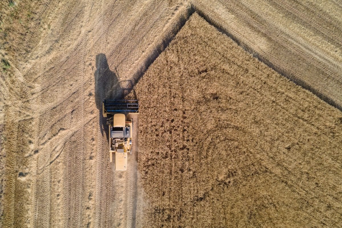 Edital aberto: Rio Grande do Sul seleciona negócios inovadores do agronegócio para capacitação internacional
