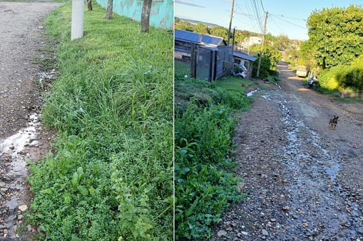 Pedido na Câmara alerta para recuperação urgente de rua no Bairro Marina