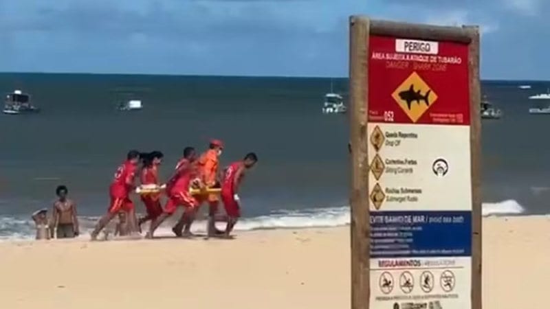 Pernambuco volta a monitorar tubarões após suspensão desde 2015