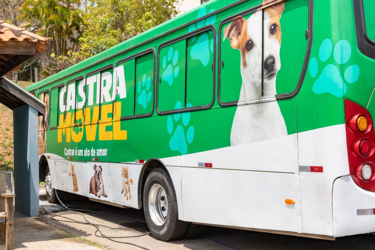 Gravataí aprova PL 54/2026 para Castramóvel com castrações gratuitas