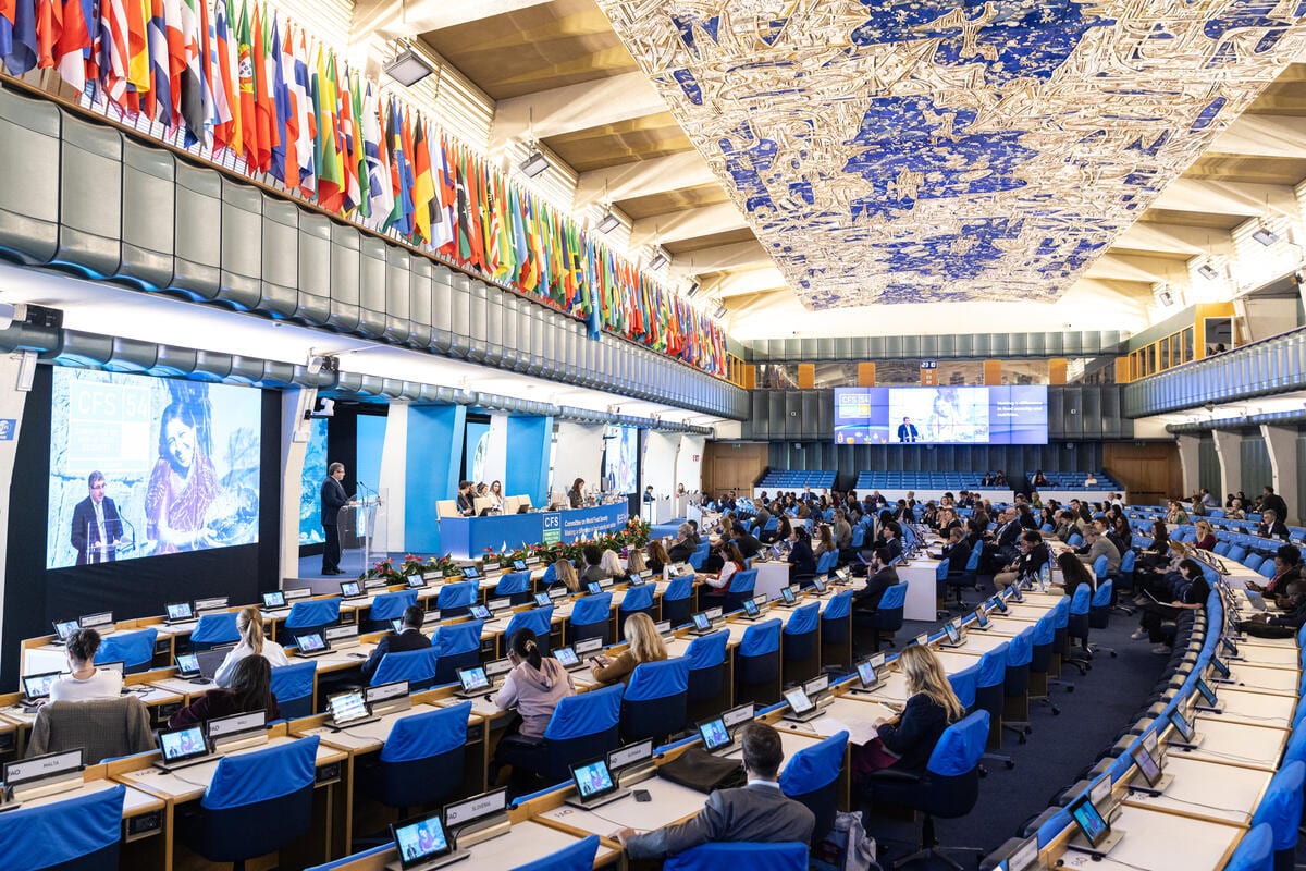 MPF apresenta experiência da Catrapovos Brasil durante a 54ª Sessão do Comitê de Segurança Alimentar Mundial na Itália