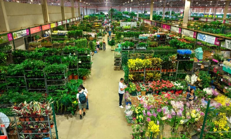 Ceaflor realiza 1ª Expo Garden e 5º Congresso de Paisagismo em Jaguariúna