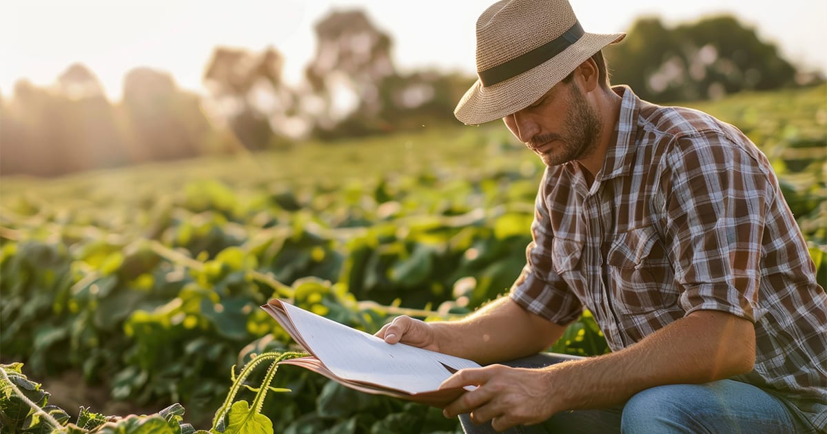 Senado aprova novo marco para seguro rural com foco na proteção contra riscos climáticos