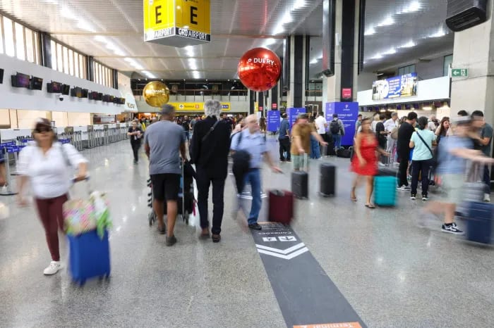 Centro especializado do Governo de SP recebe 50 ovos de aves silvestres apreendidos no Aeroporto Internacional de Guarul