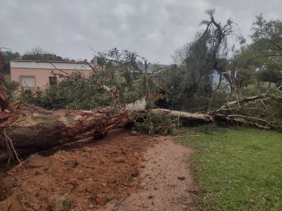 Prefeitura de Bagé prossegue atendimentos na cidade após evento climático registrado no dia 8 de outubro