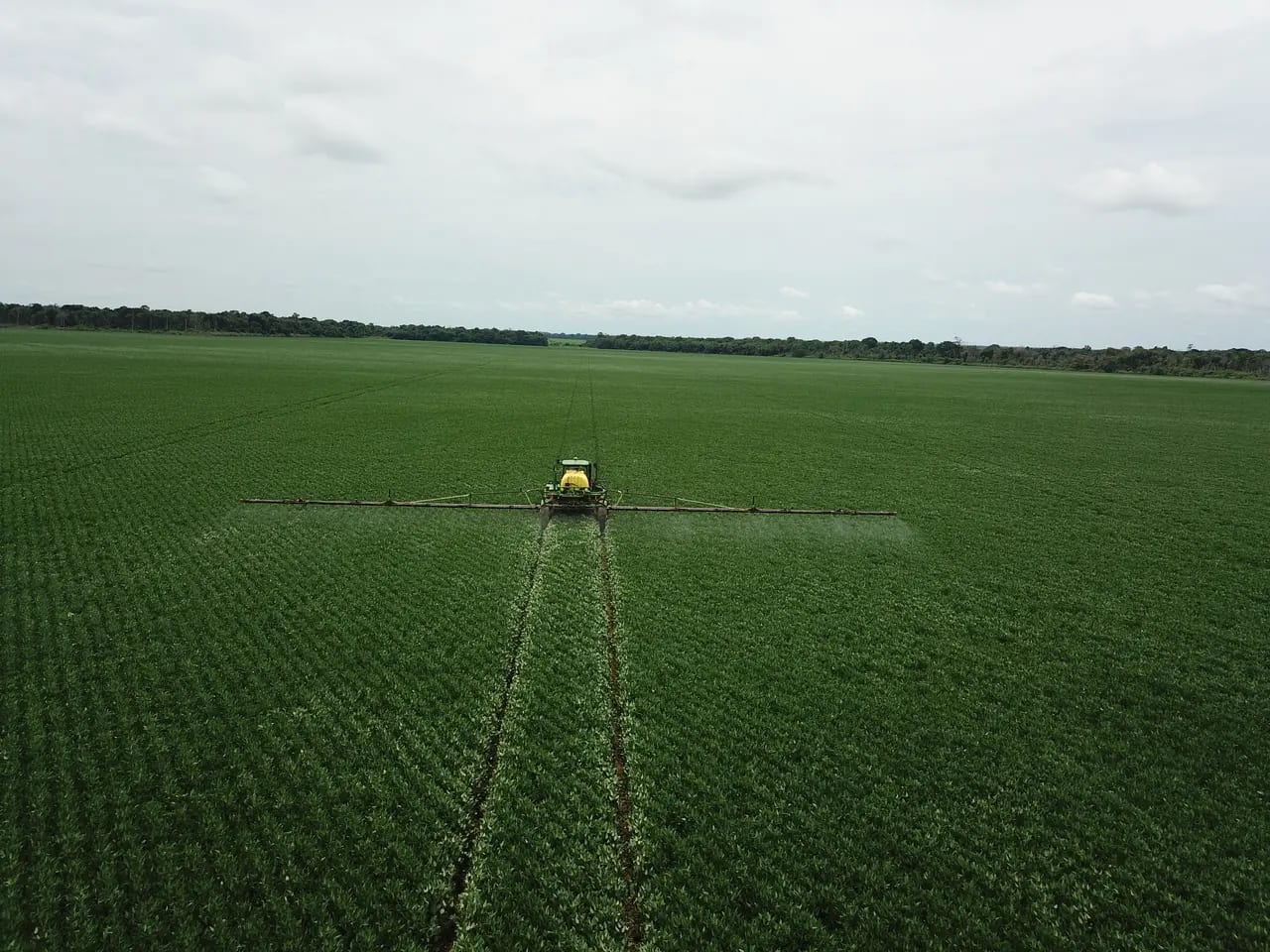 Governo Lula terá desafios com crédito rural e contas públicas, mas avanços ambientais favorecem o agro, avalia Insper