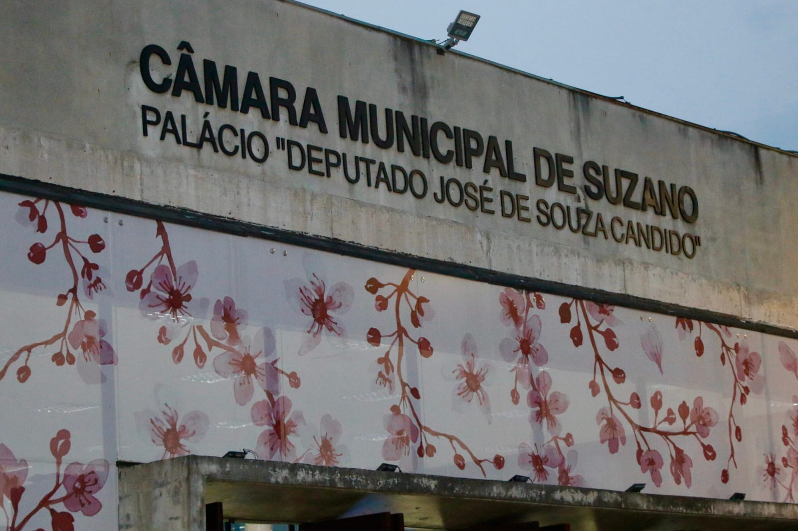 Câmara de Suzano vota transformar Lagoa Azul em 'piscinão' nesta sessão