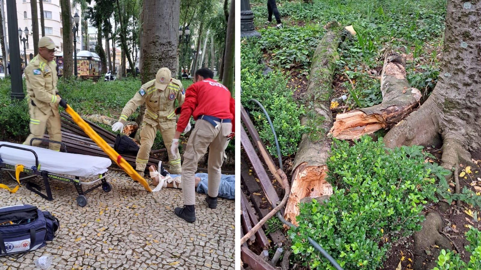 Praça Osório será interditada para obras após quedas de galhos deixarem três feridos, anuncia prefeito de Curitiba