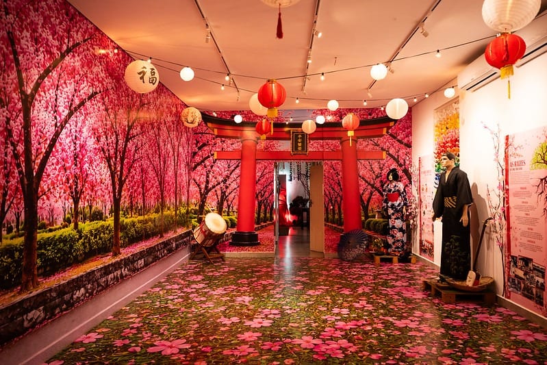Exposição "Jardim de Memórias, Raízes que Florescem entre Brasil e Japão" segue em cartaz no Museu Municipal em Arujá