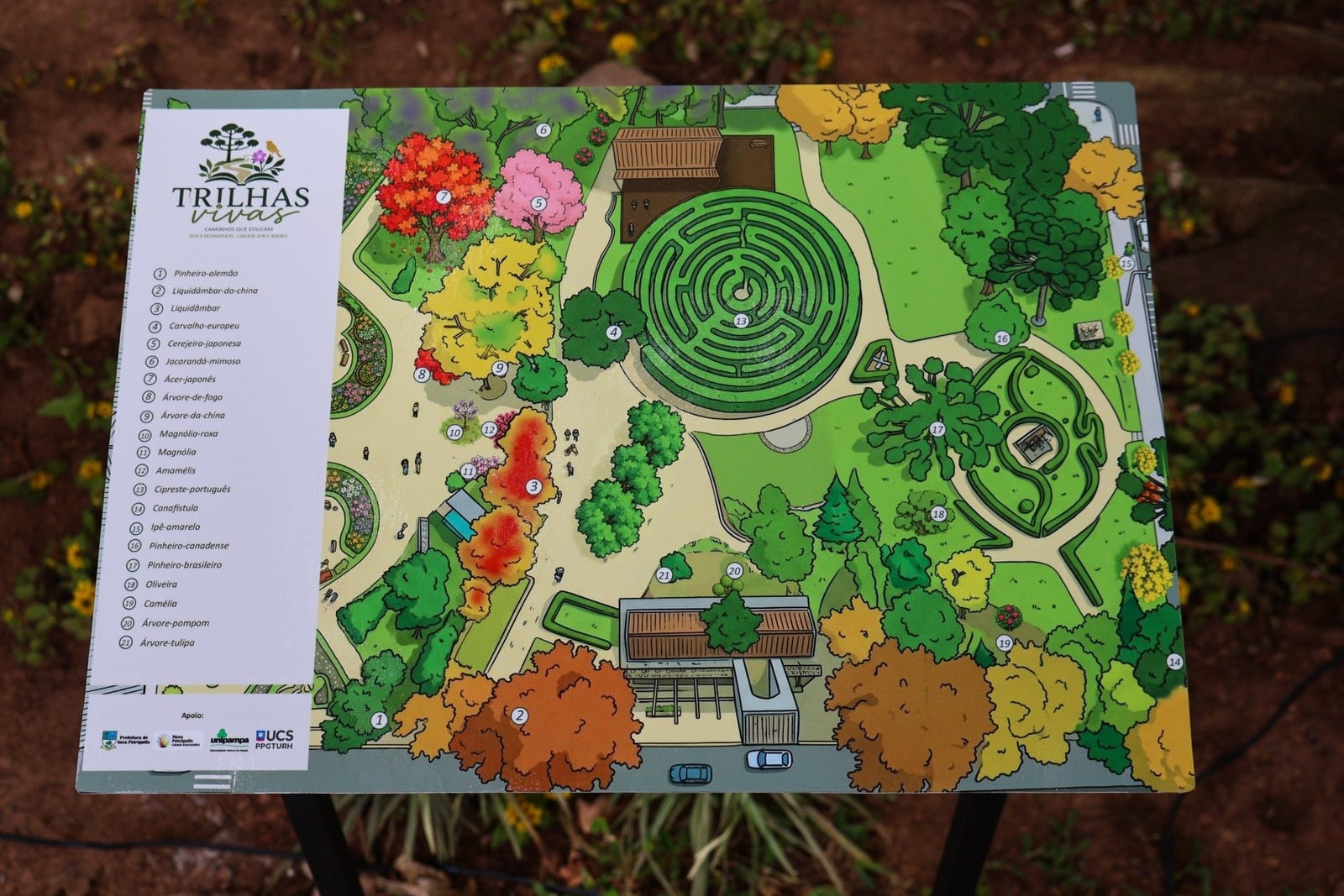 Iniciativa ecoturística é lançada em Nova Petrópolis para transformar espaços públicos em salas de aula ao ar livre