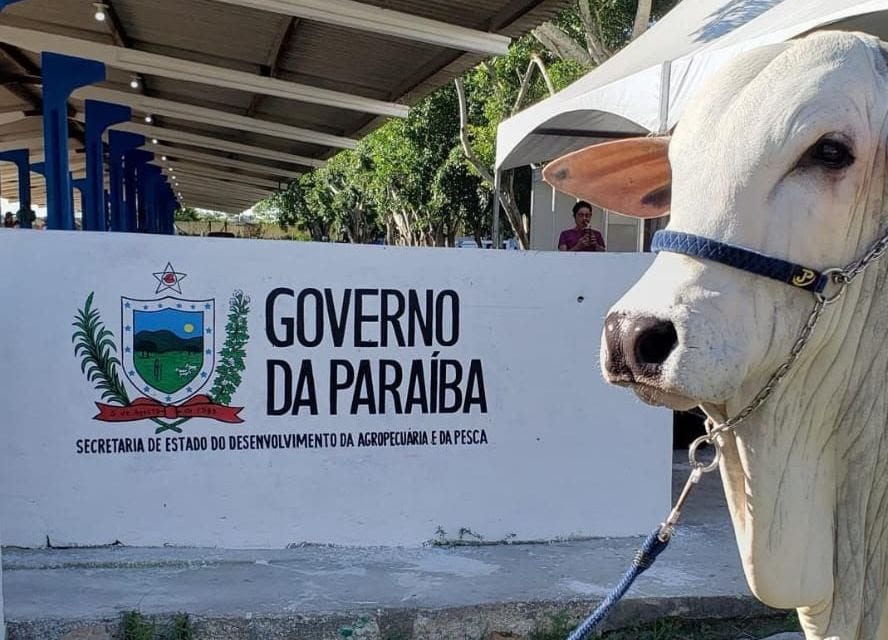Paraíba reduz para 1 ano exigência para organizações fazerem parcerias com SEDAP