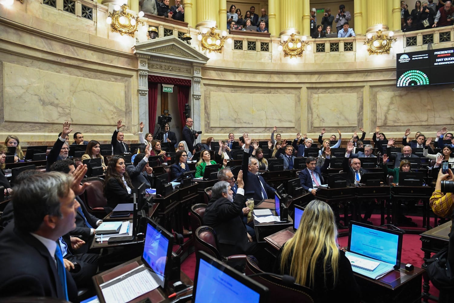 Senado argentino aprova parcialmente lei que muda direitos sobre terra