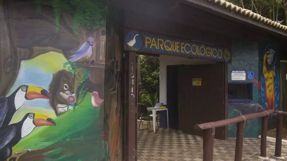 Caminhada no escuro e educação ambiental marcam edição especial de Dia das Bruxas no litoral