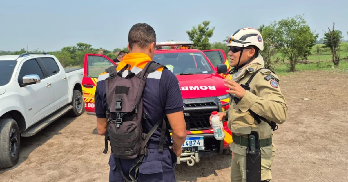 São Paulo inicia força-tarefa para combater incêndios no Amazonas