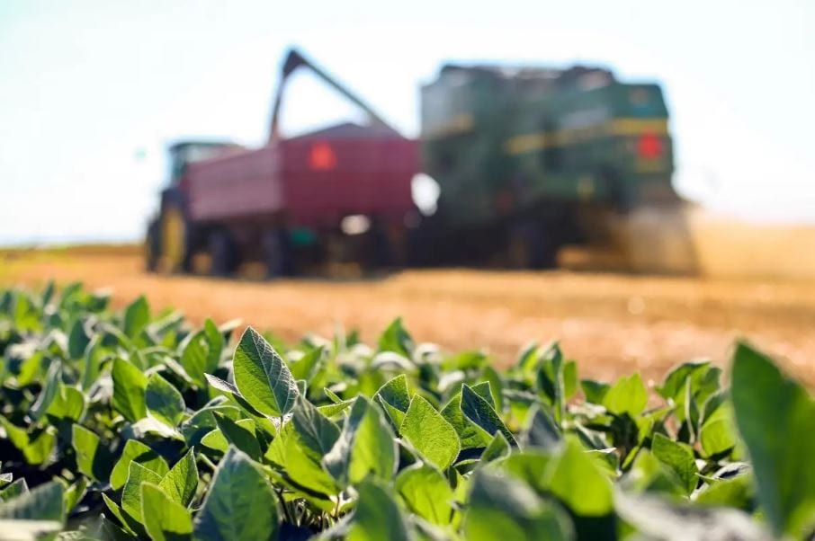 UE flexibiliza regras para plantas editadas; Brasil vê impacto em exportações