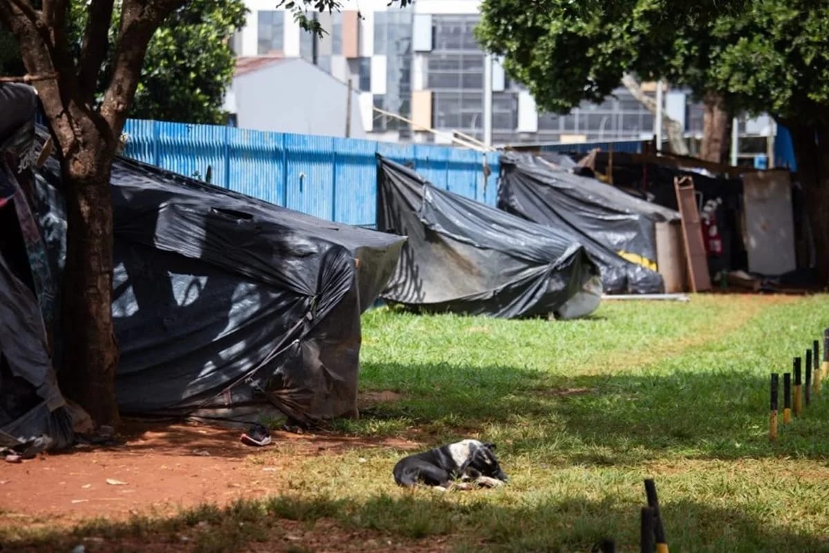 Morador de rua de 72 anos internado com baratas sobre o corpo