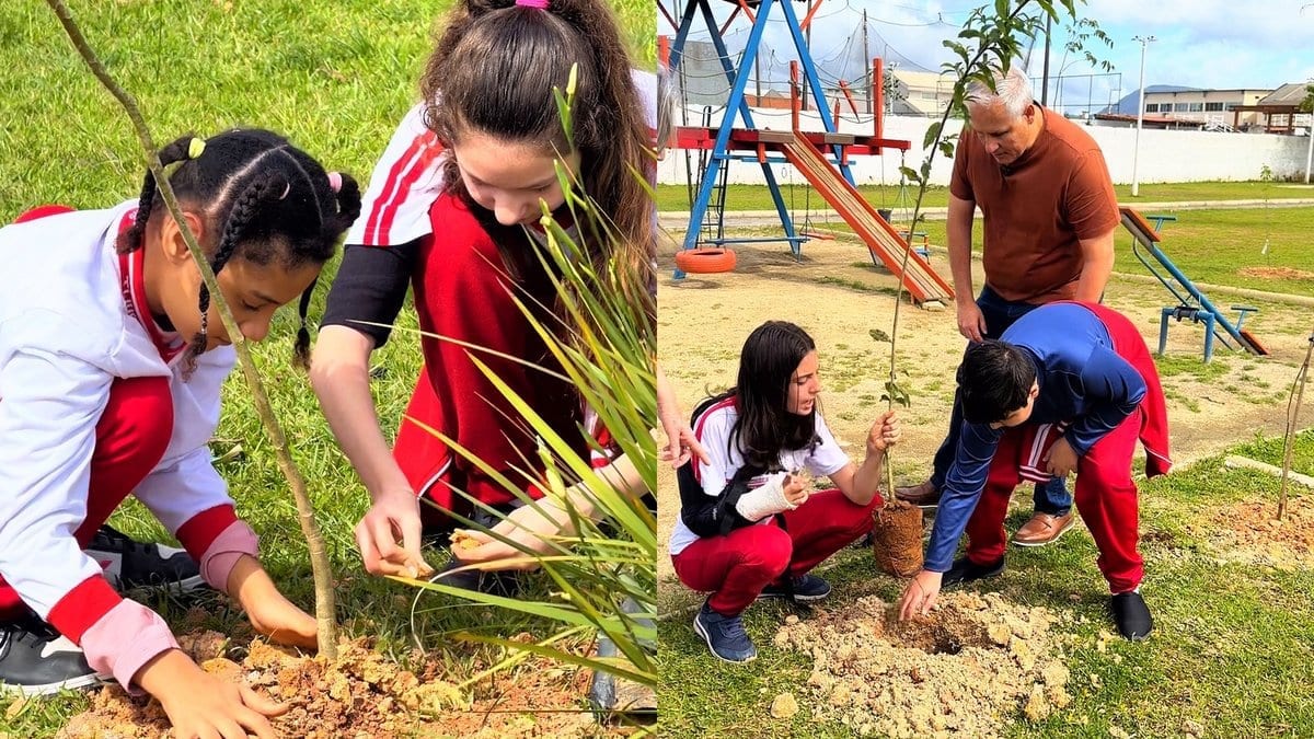 Pitanga, acerola e araçá: alunos trocam a sala de aula pela praça e plantam 90 árvores em Tijucas