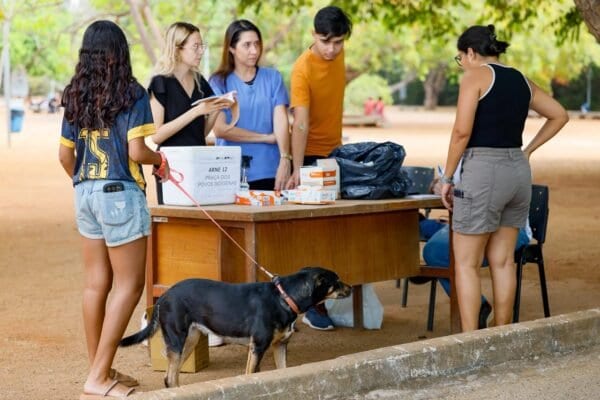 PALMAS: Dia D de Vacinação Antirrábica leva moradores de Palmas a 12 pontos da cidade