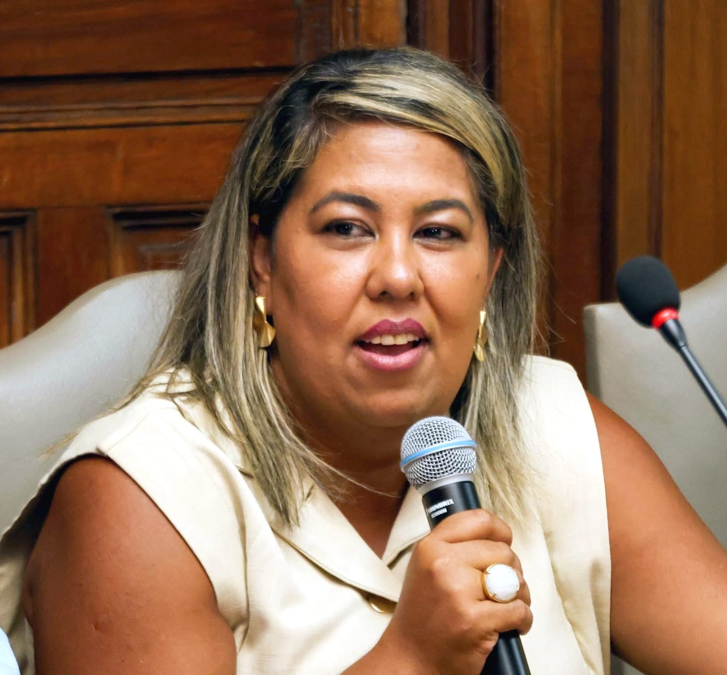 Conselho da Comunidade Negra inicia eleição para diretoria 2027-2028