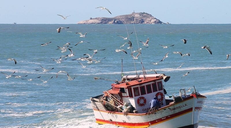 Laguna inicia vistoria de 16 embarcações do PROPESC na próxima segunda (10)