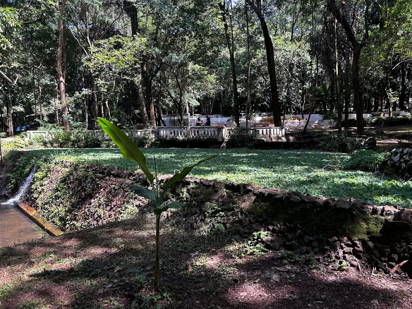 Prefeitura intensifica orientação de preservação ambiental