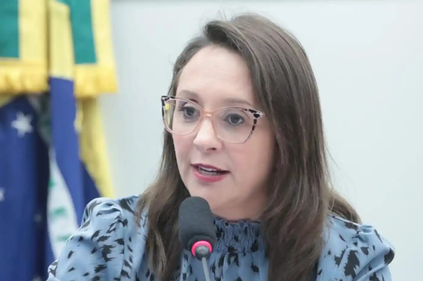 Reeleita, Renata Abreu vai para o quarto mandato consecutivo como deputada federal