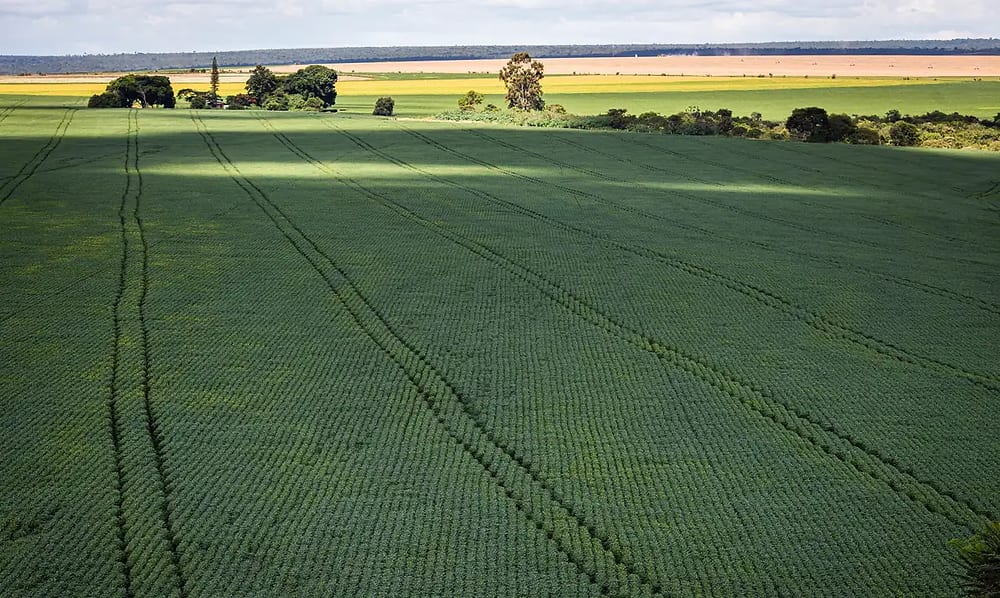 CMN amplia renegociação de dívidas rurais ligadas a eventos climáticos