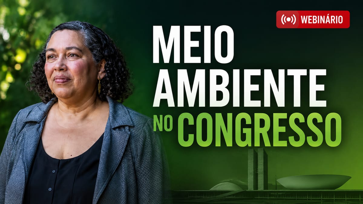 Webinário com Suely Araújo debate projetos ambientais em 17.ago.2026