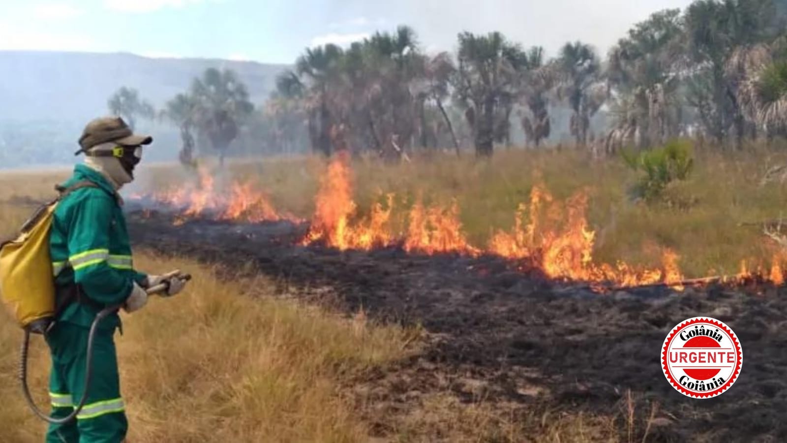 Goiás cria gabinete para combater incêndios e enfrentar estiagem