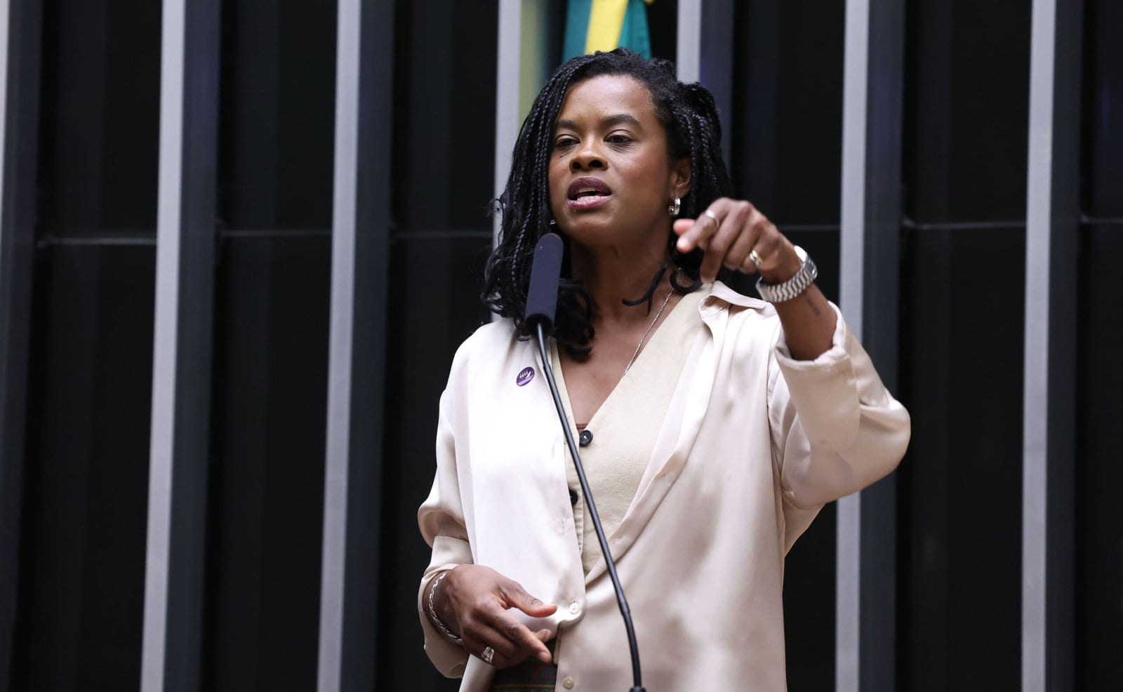 Na tribuna, Carol Dartora celebra vitória de Lula e cobra respeito à vontade popular