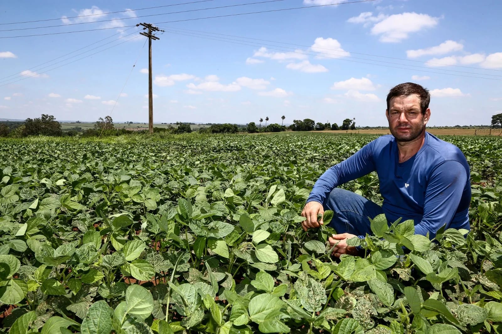 FEAP abre sete linhas de crédito para modernizar e tornar sustentável o agro paulista