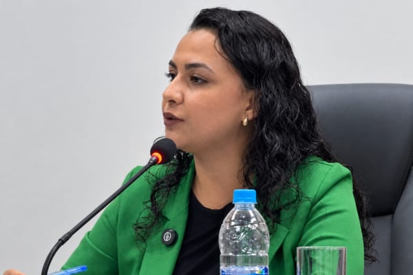 VEREADORA CLASSIFICA RETIRADA DE PROJETO SOBRE ESCOLHA DE DIRETORES COMO VITÓRIA DA EDUCAÇÃO