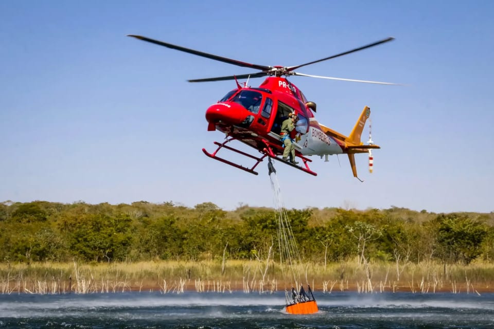 Goiás lança plano com metas para proteger o Cerrado entre 2026 e 2029