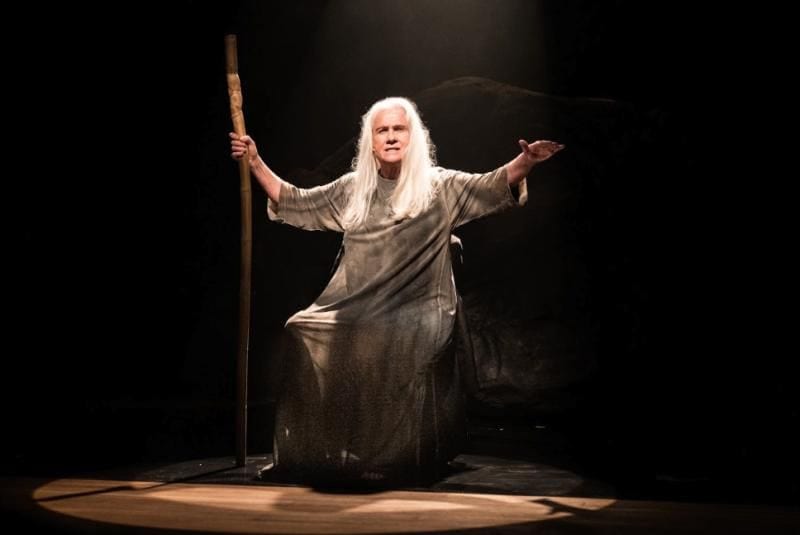 Vera Holtz e Marcelo Médici levam espetáculos gratuitos ao Teatro Alfredo Mesquita, em Santana
