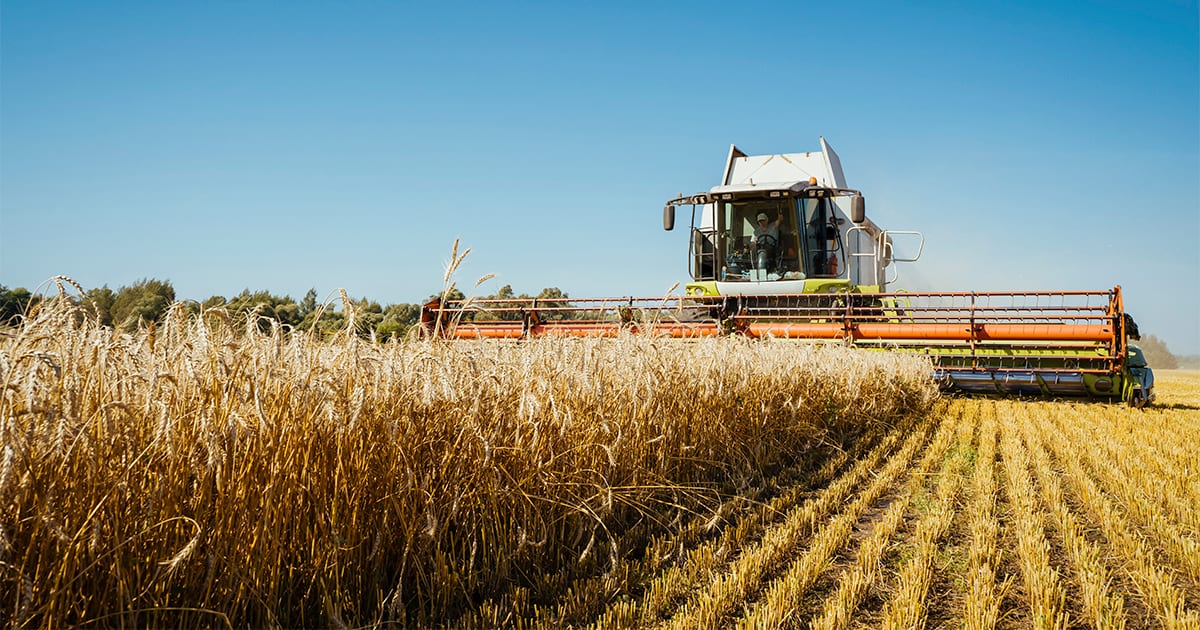 Valor Bruto da Produção Agropecuária é estimado em R$ 1,44 trilhão em setembro
