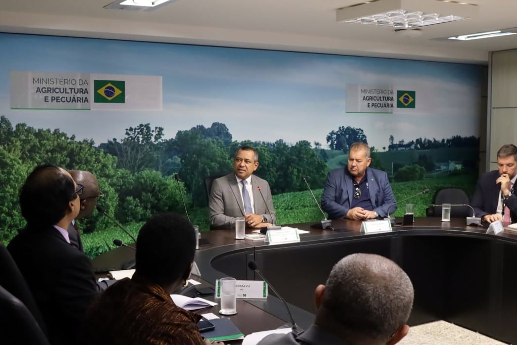 Mapa e Banco Africano de Desenvolvimento discutem ações para ampliar cooperação agrícola com países africanos