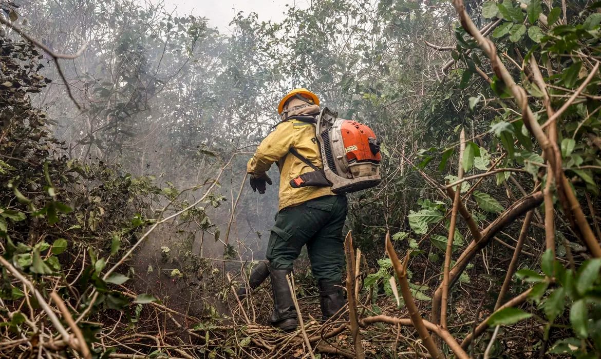 Inpe registrou 540 focos de incêndio na Amazônia em 48 horas