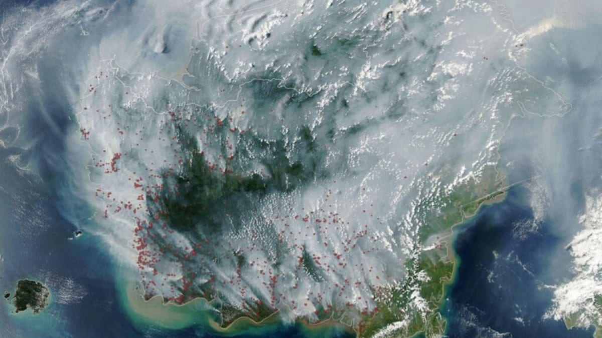 ONU confirma níveis históricos de gases de efeito estufa e faz alerta sobre o futuro do planeta