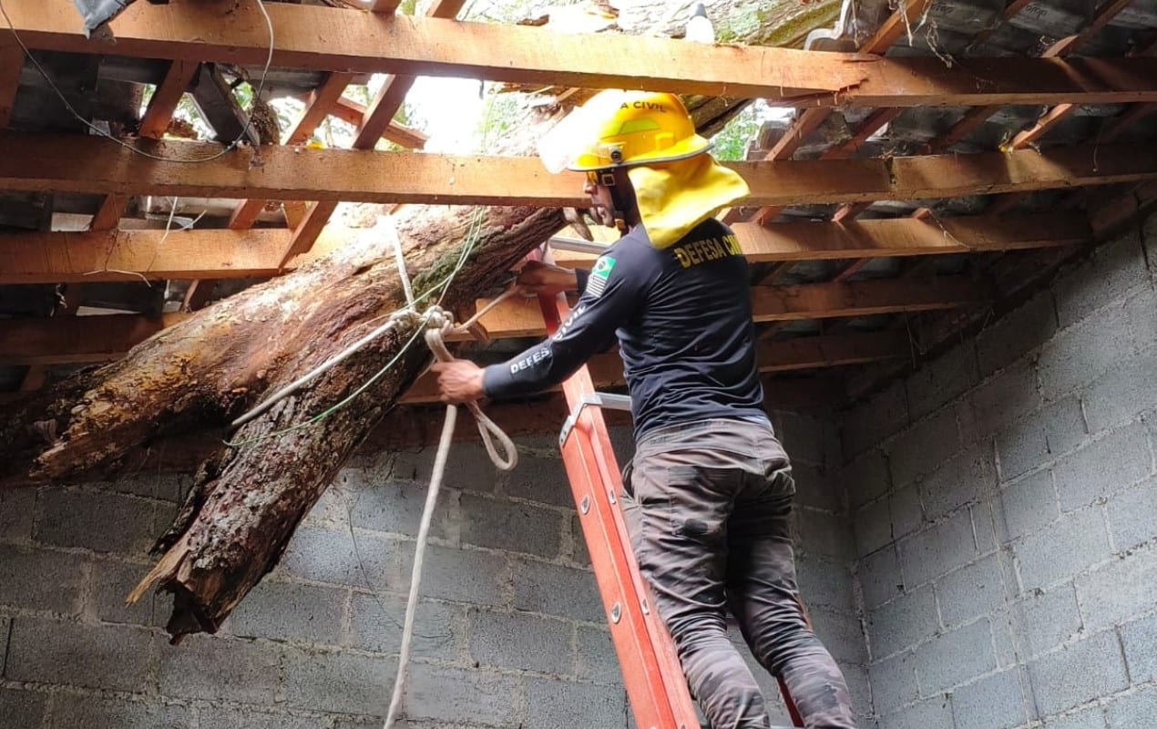 Chuva forte derruba árvores e causa estragos em cidades da região de Jundiaí