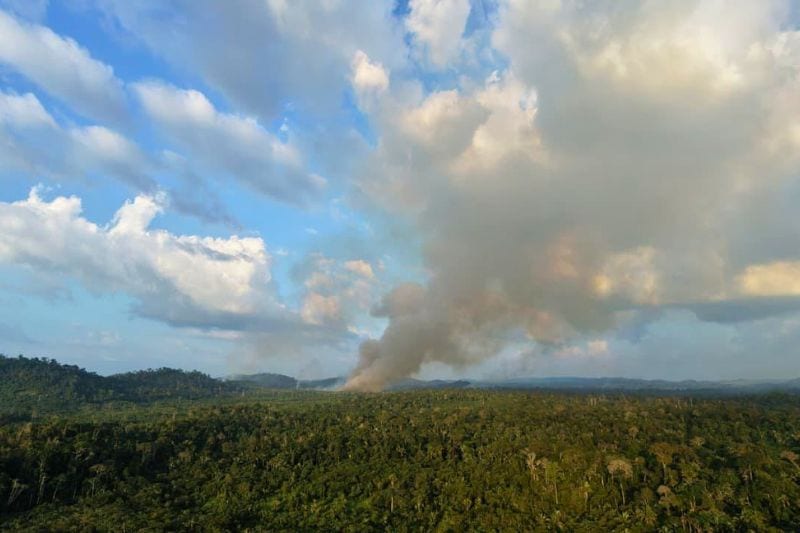 MPF pede multa de R$ 50 mil diários à União por omissão em invasão no Pará