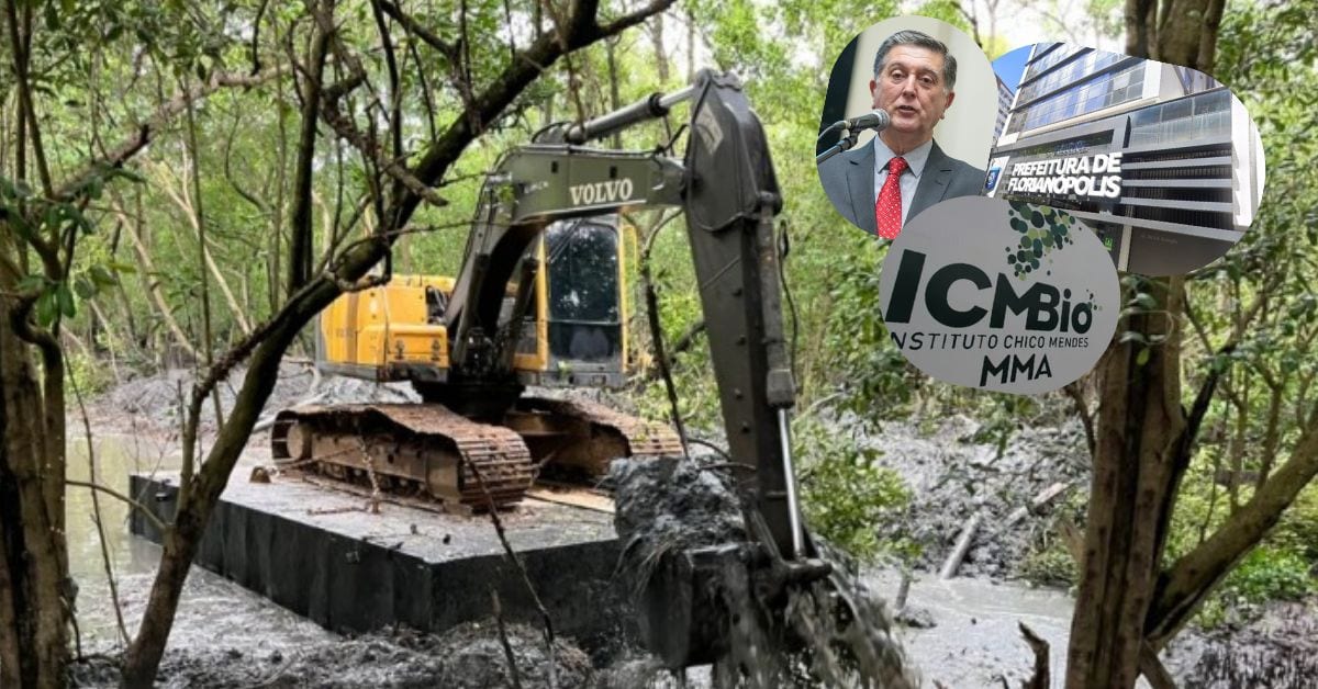 Florianópolis espera resposta do ICMBio para limpar o Rio Tavares