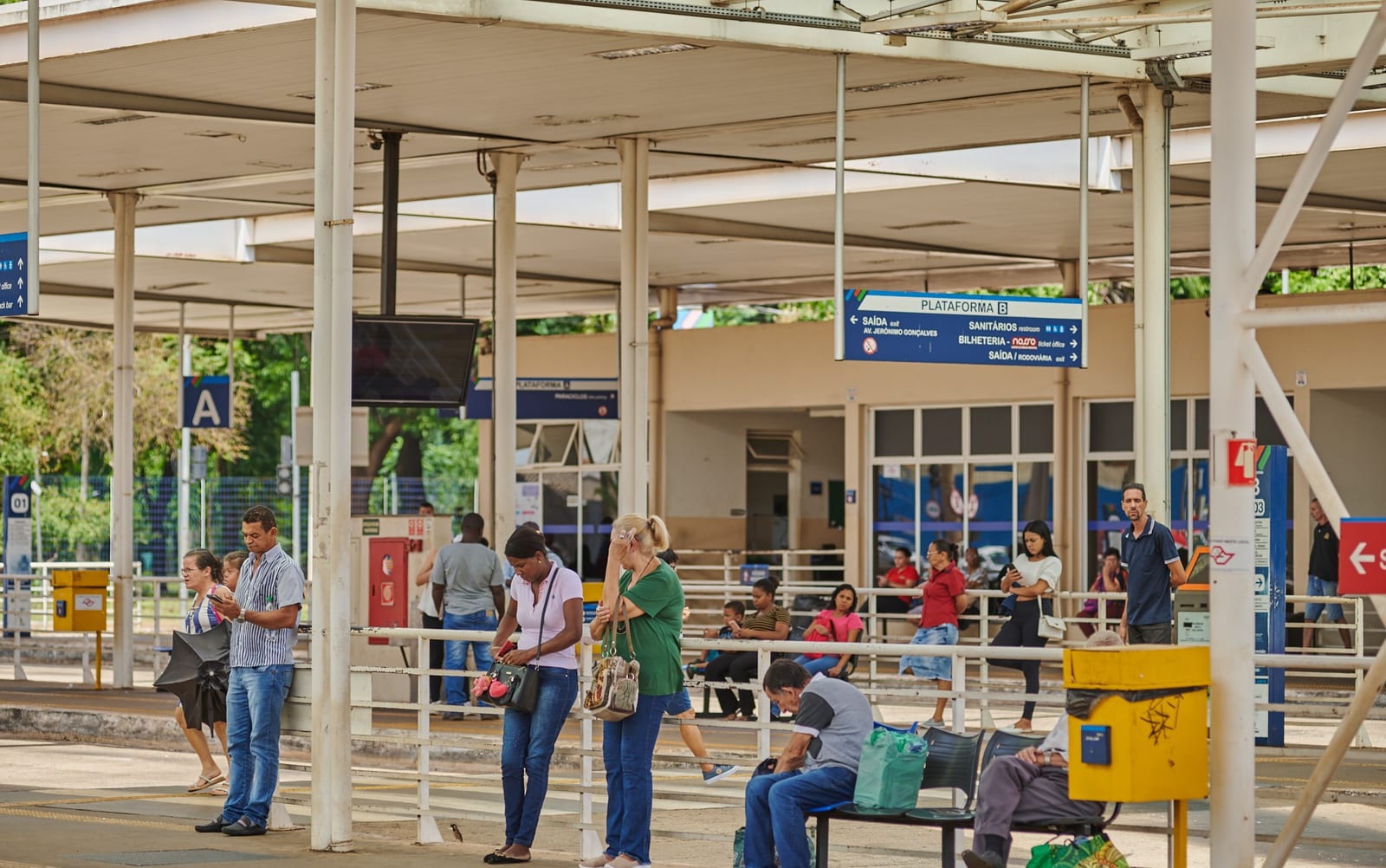 Eleições 2026: veja cidades com ônibus gratuito na região de Ribeirão e Franca no 2º turno