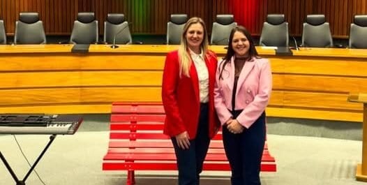 COMDIM de Arroio do Tigre participa de capacitação da Secretaria da Mulher